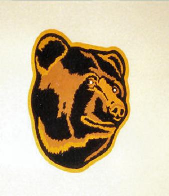 boston bruins bear pictures. Boston Bruins Bear Logo 2#39;x